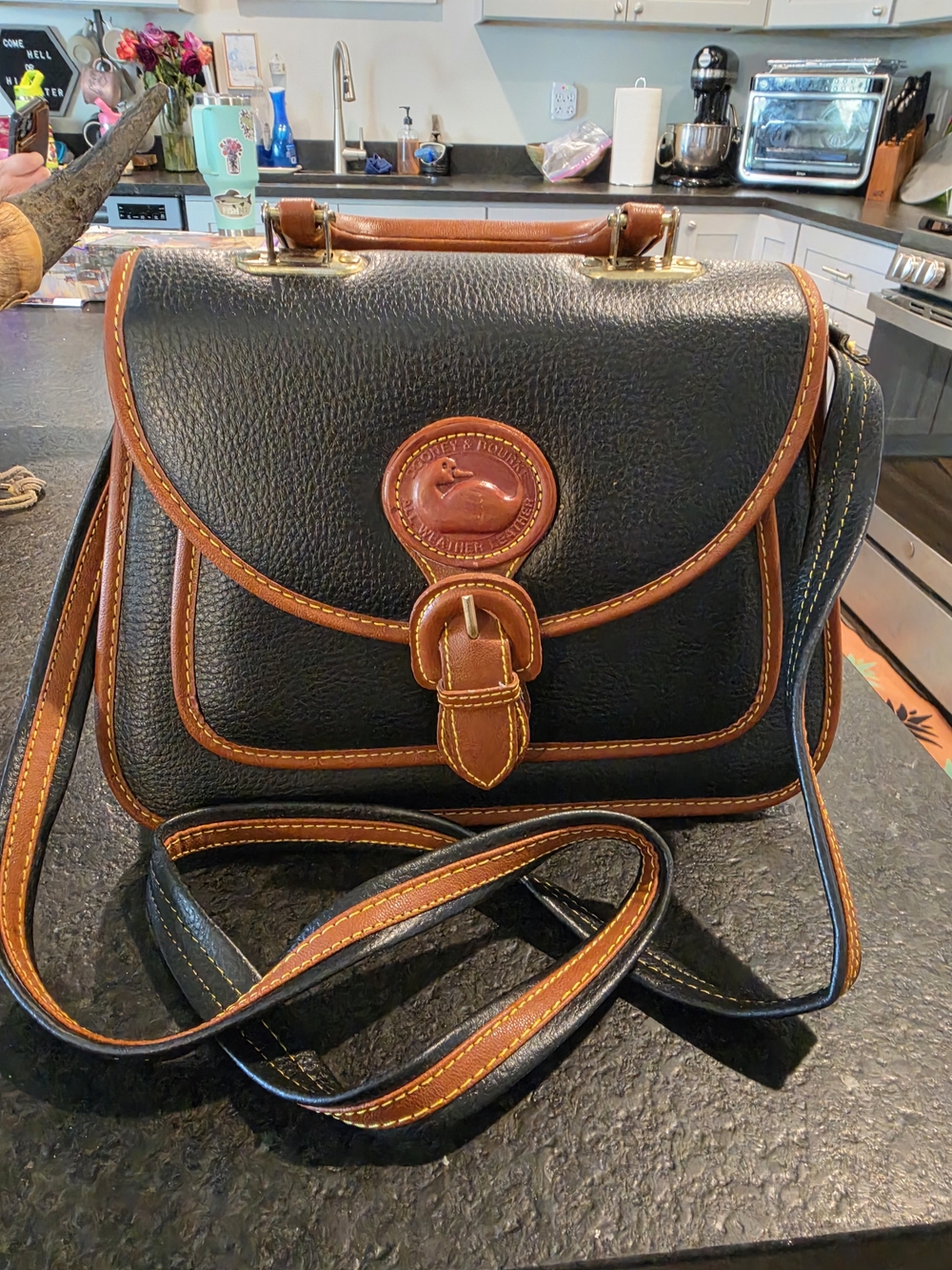 Dooney & Bourke Black Leather Satchel with Brown Trim and Brass Accents - Picture 2 of 9